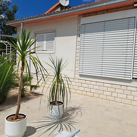 Camelia ゲストハウス *