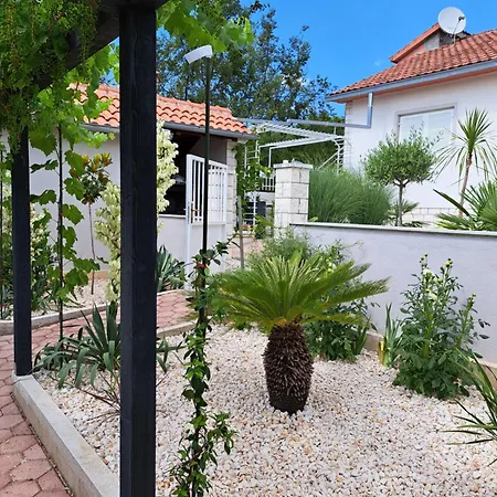 ゲストハウス Camelia *