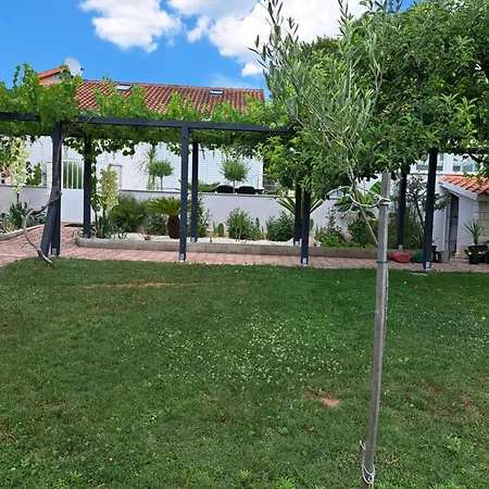 Camelia ゲストハウス Otavice