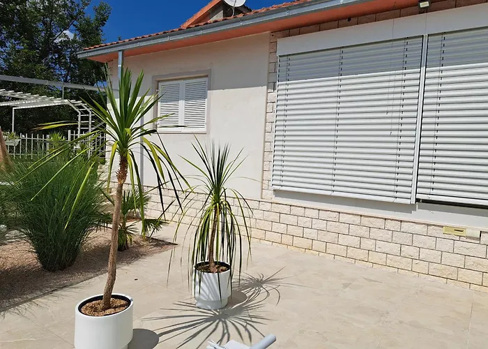 Camelia ゲストハウス *