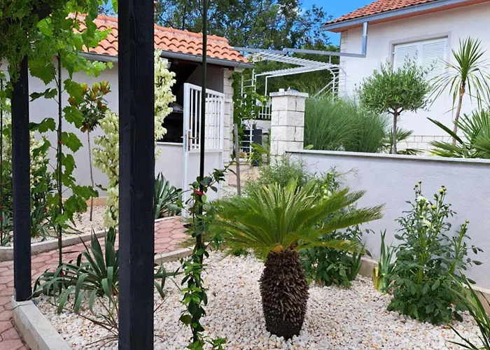 ゲストハウス Camelia *